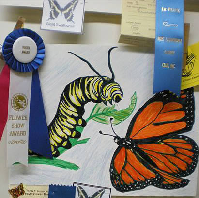 Winning Butterfly Poster